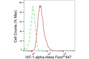 Flow cytometric analysis of Hypoxia inducible factor 1 subunit alpha expression in HT- cells using Hypoxia inducible factor 1 subunit alpha antibody (ABIN7799017), 1:2,000).