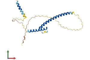 Protein Structure (PS) image for MAX Dimerization Protein 4 (MXD4) (AA 1-209) protein (His tag) (ABIN7549145)