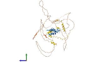 Protein Structure (PS) image for Praja Ring Finger 1, E3 Ubiquitin Protein Ligase (PJA1) (AA 1-578) protein (His tag) (ABIN7562492)