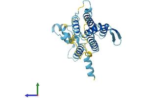 Protein Structure (PS) image for Der1-Like Domain Family, Member 2 (DERL2) (AA 1-239) protein (His tag) (ABIN7558782)