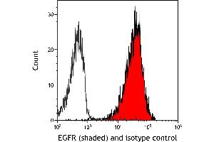 Flow Cytometry (FACS) image for anti-Epidermal Growth Factor Receptor (EGFR) (C-Term) antibody (ABIN7795642) (Rekombinanter EGFR Antikörper  (C-Term))