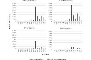 IgG responses to SARS-CoV-2 N protein variants. (Huhn anti-Human IgG (Heavy & Light Chain) Antikörper (Biotin))