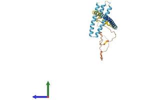 AlphaFold protein structure predicition of Human Recombinant REEP4 Protein, UniprotID Q9H6H4