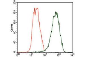 Flow Cytometry (FACS) image for anti-Tubulin, beta 2A (TUBB2A) (AA 25-187) antibody (ABIN1846607) (TUBB2A Antikörper  (AA 25-187))