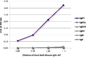 ELISA plate was coated with purified mouse IgG1, IgG2a, IgG2b, IgG3, IgM, and IgA. (Ziege anti-Maus IgG1 Antikörper (Alkaline Phosphatase (AP)))