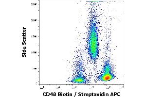 Flow cytometry surface staining pattern of human peripheral whole blood stained using anti-human CD48 (MEM-102) Biotin antibody (GAM APC, concentration in sample 1,7 μg/mL). (CD48 Antikörper  (Biotin))