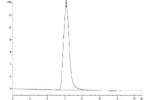 Size-exclusion chromatography-High Pressure Liquid Chromatography (SEC-HPLC) image for Transforming Growth Factor, beta Receptor 1 (TGFBR1) (AA 34-125) protein (mFc-Avi Tag) (ABIN7275720)