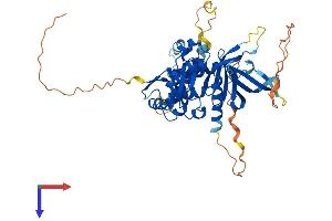 FRMD8 Protein (AA 1-466) (His tag)