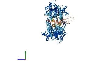 Protein Structure (PS) image for ATP-Binding Cassette, Sub-Family B (MDR/TAP), Member 11 (ABCB11) (AA 1-1321) protein (His tag) (ABIN7551794)