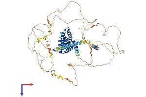 EPN3 Protein (AA 1-636) (His tag)
