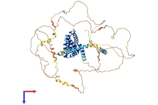EPN3 Protein (AA 1-636) (His tag)
