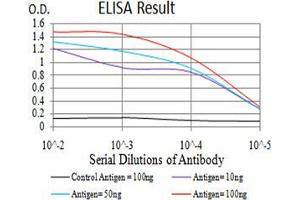Black line: Control Antigen (100 ng);Purple line: Antigen (10ng); Blue line: Antigen (50 ng); Red line:Antigen (100 ng) (VP2 (AA 296-438) Antikörper)