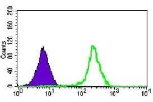 Flow cytometric analysis of HeLa cells using KIAA1967 mouse mAb (green) and negative control (purple).