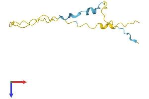 HMGN3 Protein (AA 1-99) (His tag)