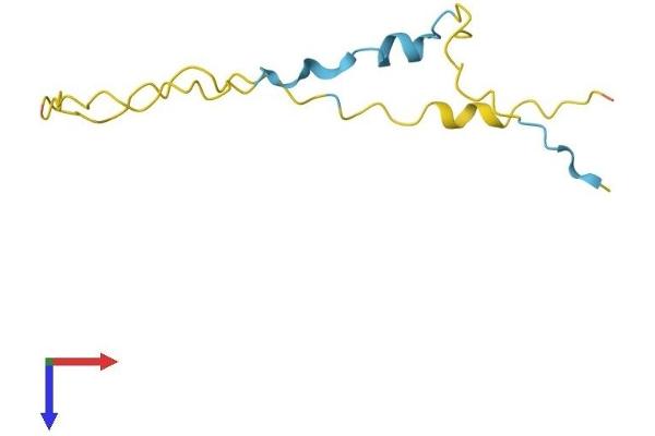 HMGN3 Protein (AA 1-99) (His tag)