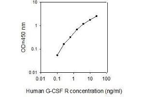 ELISA image for Colony Stimulating Factor 3 Receptor (Granulocyte) (CSF3R) ELISA Kit (ABIN2703035) (CSF3R ELISA Kit)