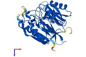 DDAH2 Protein (AA 1-285) (His tag)
