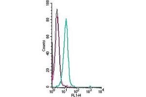 Cell surface detection of Plexin-A4 by indirect flow cytometry in live intact human  monocytic leukemia cell line: + goat-anti-rabbit-FITC. (Plexin A4 Antikörper  (Extracellular))