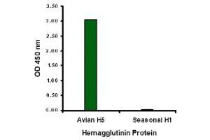 ELISA image for anti-Hemagglutinin antibody (Influenza A Virus H5N1) (ABIN1031719) (Hemagglutinin Antikörper)