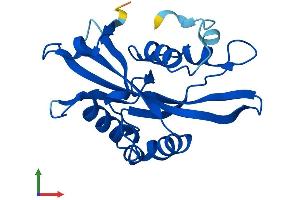 Protein Structure (PS) image for Nudix (Nucleoside Diphosphate Linked Moiety X)-Type Motif 16 (NUDT16) (AA 1-195) protein (His tag) (ABIN7564084)