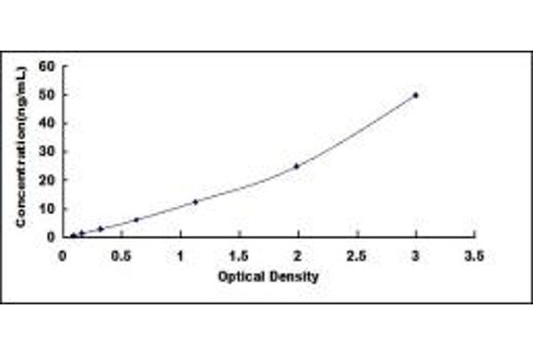 CD52 ELISA Kit