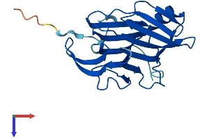 C16orf80 Protein (AA 1-193) (His tag)