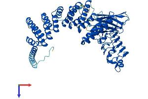 RABGGTA Protein (AA 1-567) (His tag)