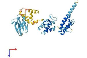 MOAP1 Protein (AA 1-351) (His tag)