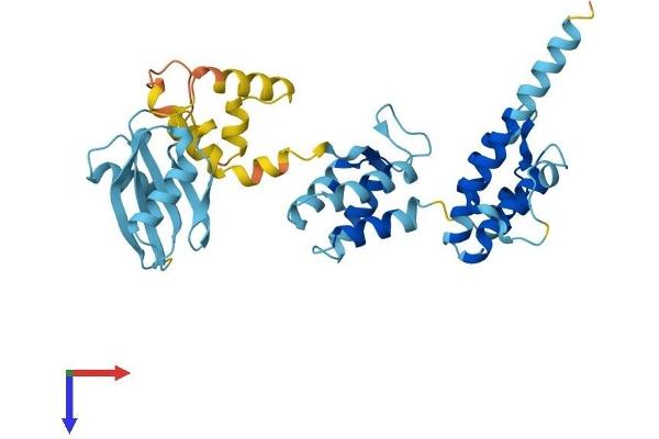 MOAP1 Protein (AA 1-351) (His tag)