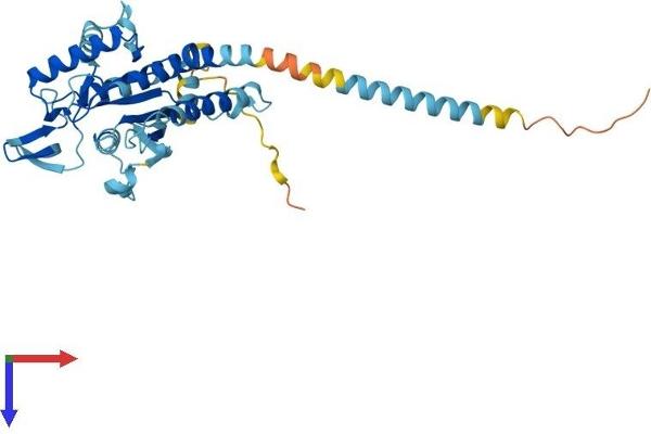 Septin 2 Protein (SEPT2) (AA 1-361) (His tag)