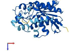 PGAM2 Protein (AA 1-253) (His tag)