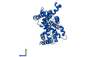 AlphaFold protein structure predicition of Mouse Recombinant Mt-Cyb Protein, UniprotID P00158 (Cytochrome b Protein (AA 1-381) (His tag))