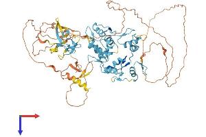 ZNF408 Protein (AA 1-720) (His tag)