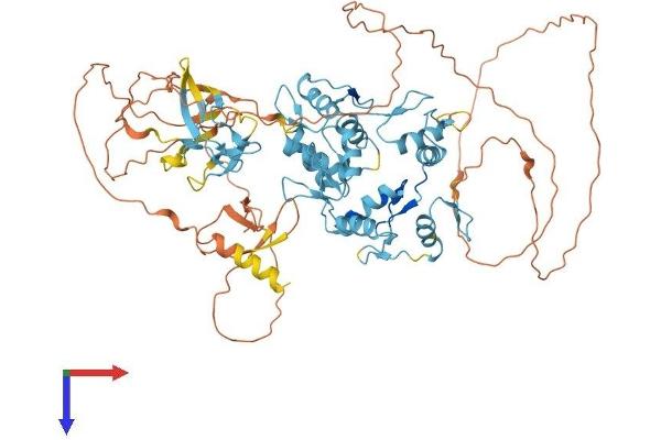 ZNF408 Protein (AA 1-720) (His tag)