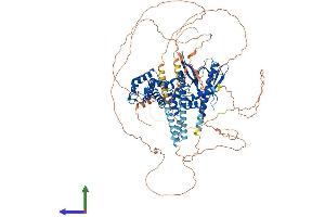 AlphaFold protein structure predicition of Human Recombinant IQSEC1 Protein, UniprotID Q6DN90