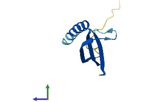 AlphaFold protein structure predicition of Human Recombinant COMMD6 Protein, UniprotID Q7Z4G1