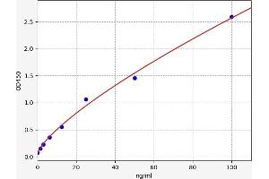 MT1A ELISA Kit