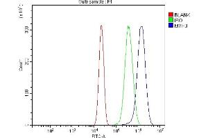 Flow Cytometry analysis of U20S cells using anti-heavy chain Myosin/Myh3 antibody (ABIN7601735).
