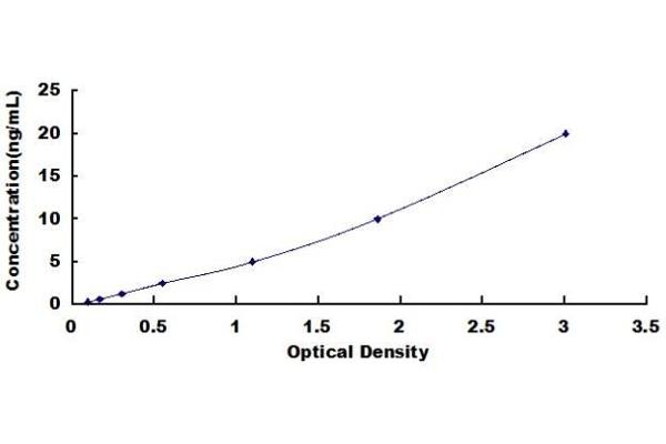 RGS5 ELISA Kit