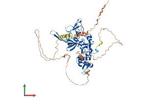 Protein Structure (PS) image for PHD Finger Protein 19 (PHF19) (AA 1-578) protein (His tag) (ABIN7564960)