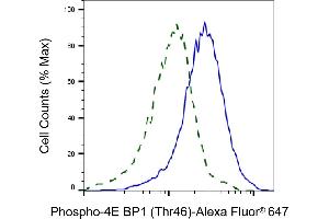 Flow cytometric analysis of phospho-4E BP1 (Thr46) expression in C2C12 cells using phospho-4E BP1 (Thr46) antibody (ABIN7798530), 1:2,000). (Rekombinanter eIF4EBP1 Antikörper  (pThr46))