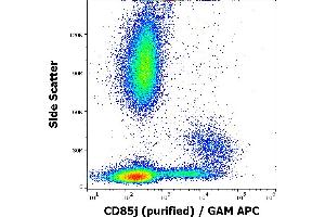 Flow cytometry surface staining pattern of human peripheral blood stained using anti-human CD85j(GHI/75) purified antibody (concentration in sample 1 μg/mL) GAM APC. (LILRB1 Antikörper)