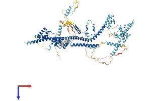 CDC5L Protein (AA 1-802) (His tag)
