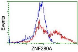 Image no. 2 for anti-Zinc Finger Protein 280A (ZNF280A) (AA 1-333) antibody (ABIN1490749)