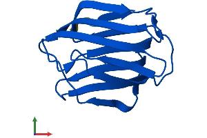 Protein Structure (PS) image for Lectin, Galactoside-Binding, Soluble, 2 (LGALS2) (AA 1-130) protein (His tag) (ABIN7560584)