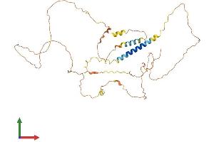 Protein Structure (PS) image for Adherens Junctions Associated Protein 1 (AJAP1) (AA 1-412) protein (His tag) (ABIN7561932)