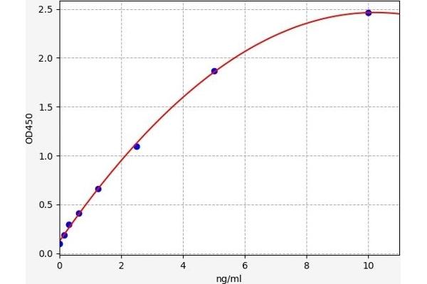 IMPDH2 ELISA Kit