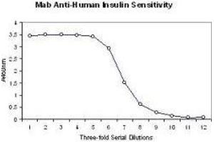Image no. 1 for anti-Insulin (INS) antibody (ABIN129507) (Insulin Antikörper)
