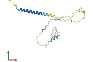 AlphaFold protein structure predicition of Mouse Recombinant Trat1 Protein, UniprotID Q3UU67