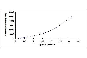 Triggering Receptor Expressed On Myeloid Cells 2 (TREM2) ELISA Kit